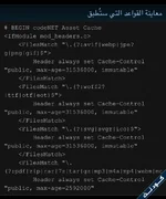 [codeNET]-IMG_0311.webp