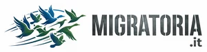 migratoria.it